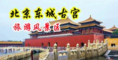 草逼打炮网中国北京-东城古宫旅游风景区